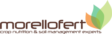 MorelloFert